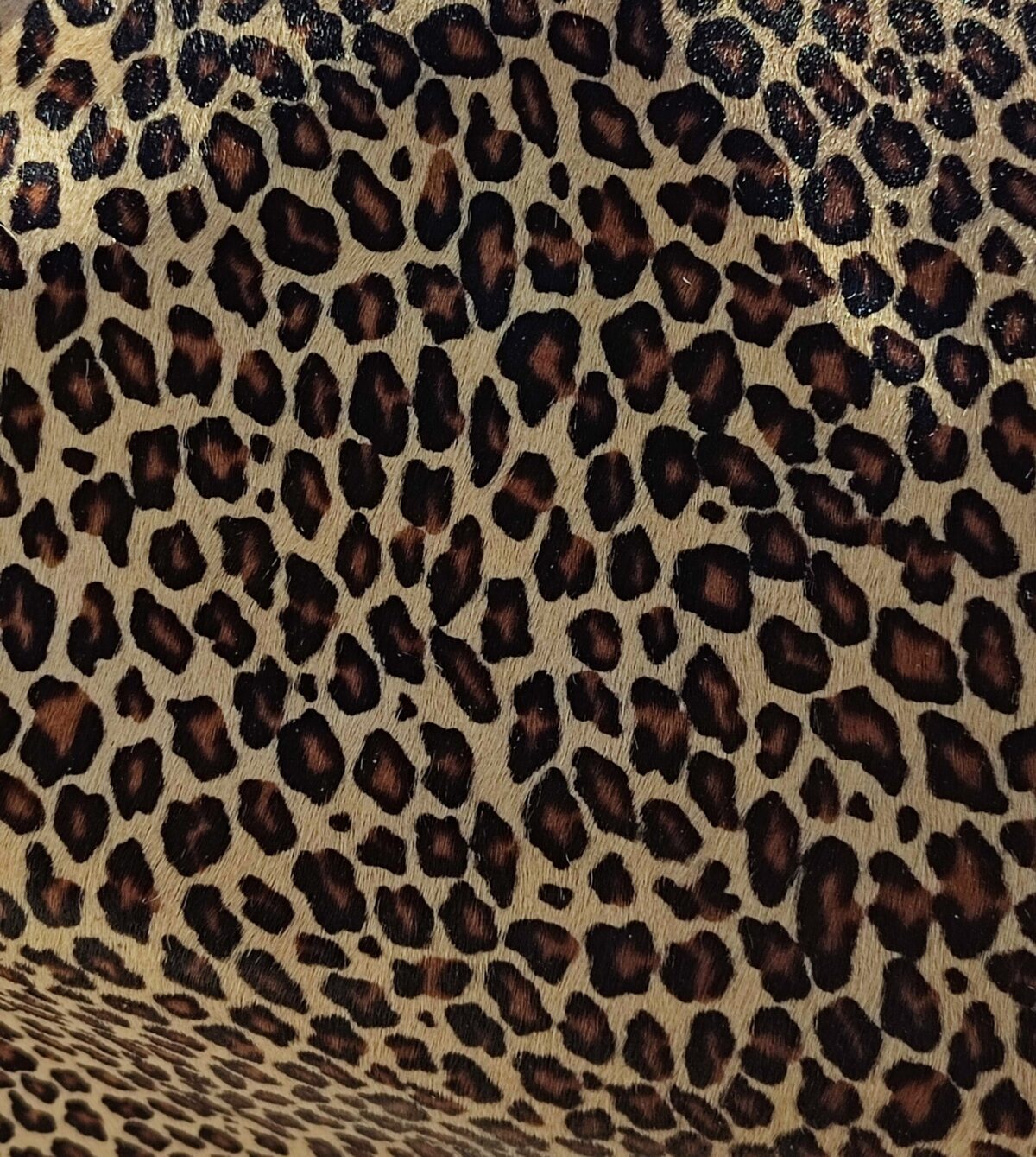 Animal Print Virsa Belt - Image 6