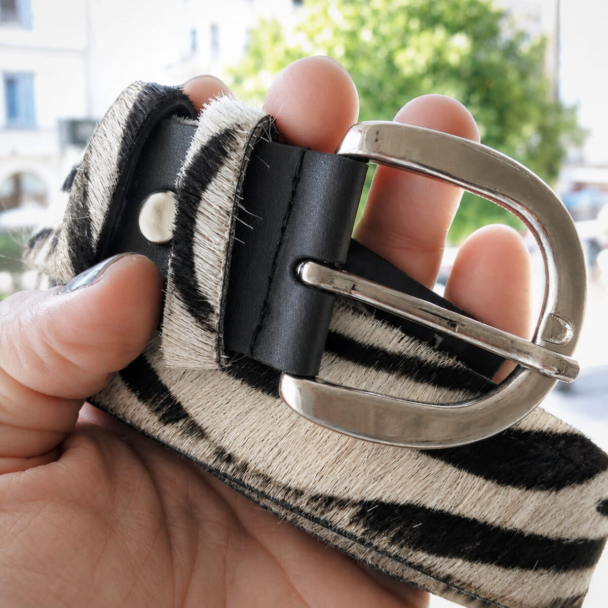 Zebra Virsa Belt - Image 5