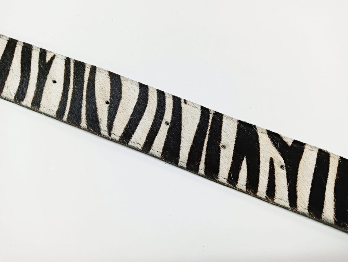 Zebra Virsa Belt - Image 6