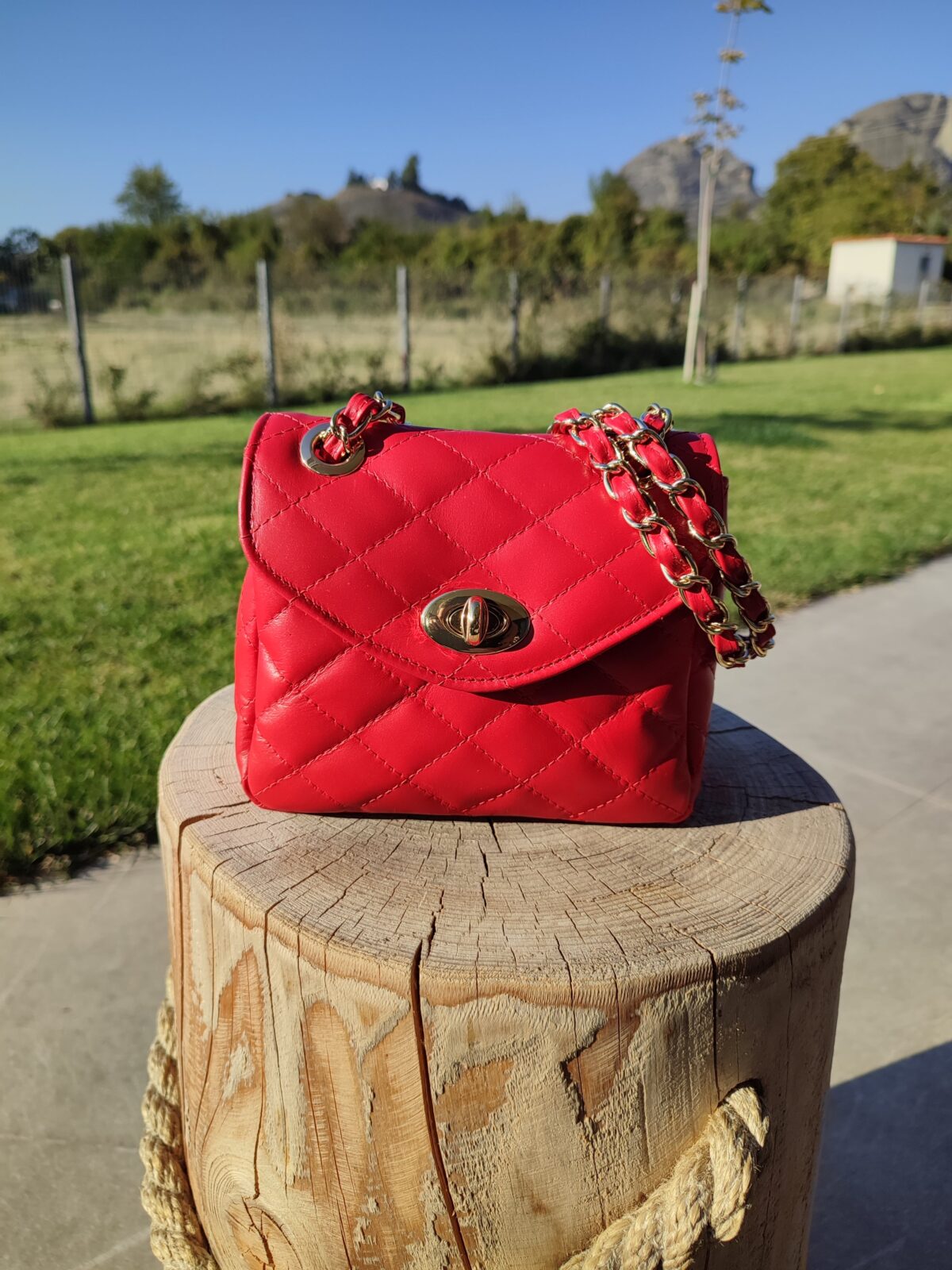Iconic Venus Bag - Image 10