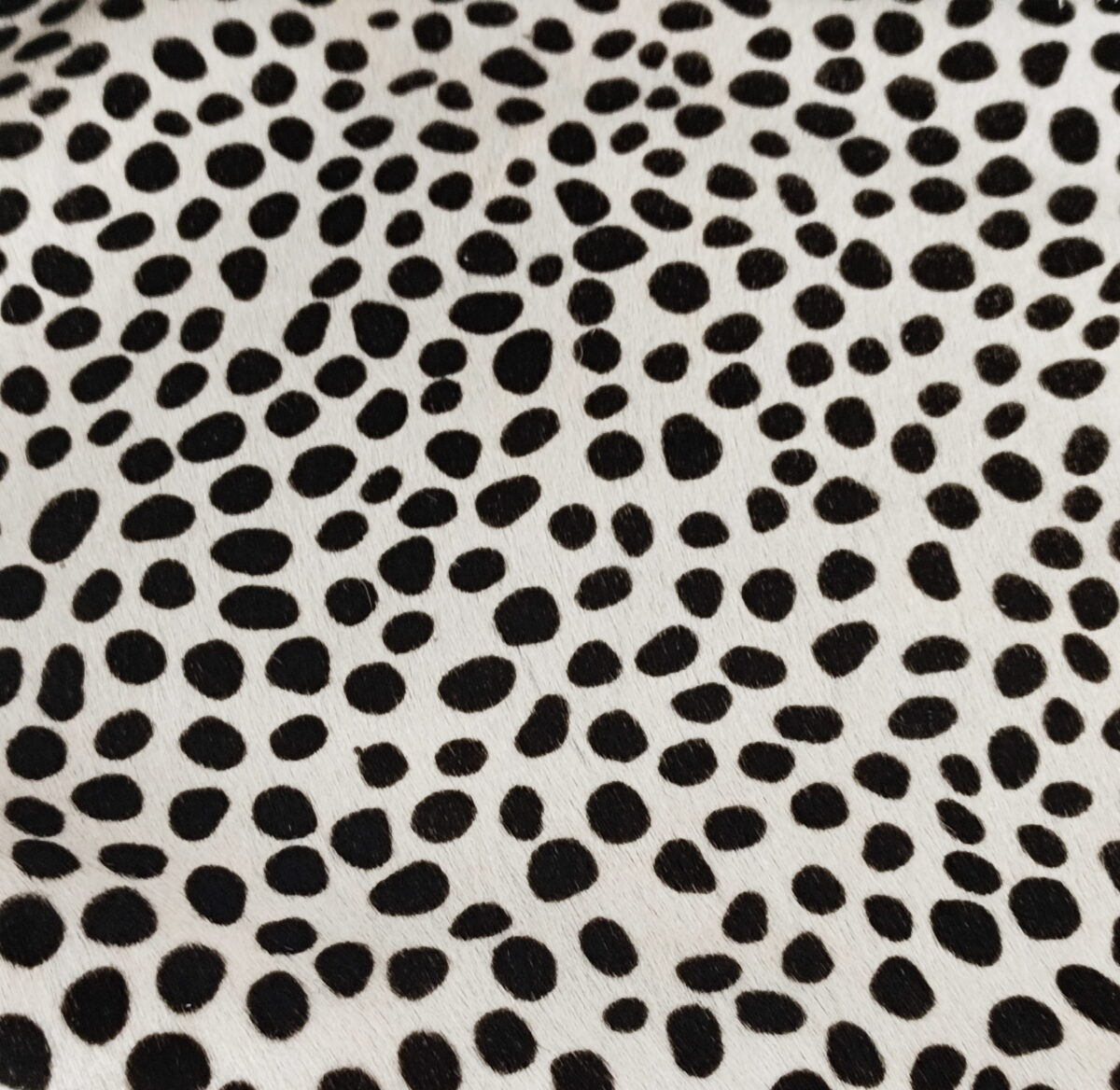 Zebra Style Clutch - Image 8